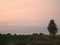 Dirt road in an open field at sunset on a summer day. The sun sheds a parting light on the sky, which turns pink. The field was