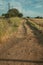 Dirt road over field covered by straw