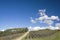 Dirt road that passes between the vineyards of the Tuscan hills