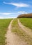 Dirt Road Passing a Cornfield