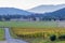 Dirt road passing through vineyard in Autumn. Australian country