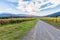 Dirt road passing through vineyard in Autumn. Australian country