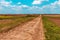 Dirt road through plain countryside