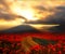 Dirt road among poppy fields at sunset. Fantasy picture.