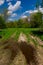 Dirt road after rain in deciduous forest, landscape in the wild