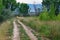 Dirt Road on Riparian Landscape