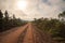 Dirt road in the rural landscape of the pampa biome in southern Brazil