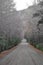 Dirt road in San Martin de los Andes