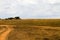 Dirt road in Serengeti National Park