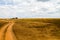 Dirt road in Serengeti National Park