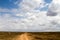 Dirt road in Serengeti National Park