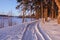 Dirt road through the snow going through the forest. Winter landscape