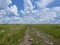 Dirt road in the steppe stretching beyond the horizon. Spring landscape with clouds, blooming steppe, prairie