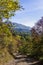 Dirt road thru Dilijan National Park