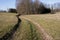 A dirt road to the forest. A small forest behind the hill.