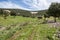 Dirt road in Toledo Mountains