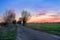 Dirt road and trees, colorful sky after sunset, beautiful landscape, Zulawy Wislane in Poland