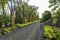 A dirt road under construction, between the trees, visible gravel and wooden boards protecting trees from damage.