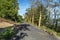 A dirt road under construction, between the trees, visible gravel and wooden boards protecting trees from damage.