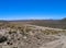 Dirt road in wilderness