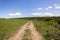 Dirt Road Wilderness Landscape