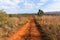 Dirt Road Wilderness Wildlife Landscape