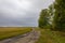 The dirt road winds through the fields