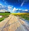 Dirt road into yellow colza and green wheat fields