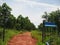 dirt roads in oil palm plantations in Indonesia 6