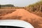 Dirt roadside view with the meadow,