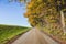 Dirt roat with autumn colors and blue sky