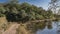 A dirt safari road runs along the lakeshore in the jungle