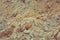 Dirt and sand in random with small stones. Close-up of sand soil background