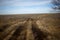 Dirt track leading through dry grassy farmland