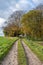 Dirt track leading to woods