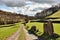 Dirt track through lush farmland