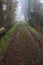 Dirt trail bordered by a stream of water in a park on a foggy day in winter