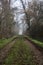 Dirt trail bordered by a stream of water in a park on a foggy day in winter