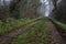 Dirt trail bordered by a stream of water in a park on a foggy day in winter