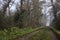 Dirt trail bordered by a stream of water in a park on a foggy day in winter