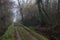 Dirt trail bordered by a stream of water in a park on a foggy day in winter