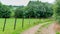 Dirt trail between farms with fences with wooden posts and metal fencing with abundant tree