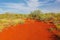 Dirt Trail leading through Australian Outback