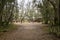 a dirt trail with lush green weeping willow trees, palm trees and plants with brown fallen leaves covered the footpath and people