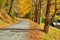 Dirt unpaved road at autumn in Vermont, USA