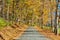 Dirt unpaved road at autumn in Vermont, USA
