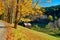 Dirt unpaved road at autumn in Vermont, USA