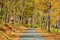 Dirt unpaved road at autumn in Vermont, USA