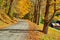 Dirt unpaved road at autumn in Vermont, USA
