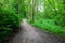 Dirt walking track, Ilam Park, England